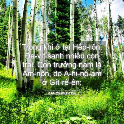 Picture 05 - 2 Sa-mu-ên 3:2 VIE - Trong khi ở tại Hếp-rôn, Đa-vít sanh - Bible Verse Picture