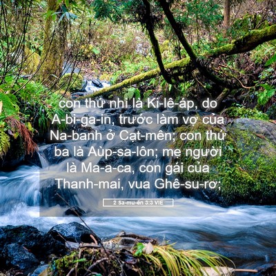 Picture 05 - 2 Sa-mu-ên 3:3 VIE - con thứ nhì là Ki-lê-áp, do A-bi-ga-in, - Bible Verse Picture