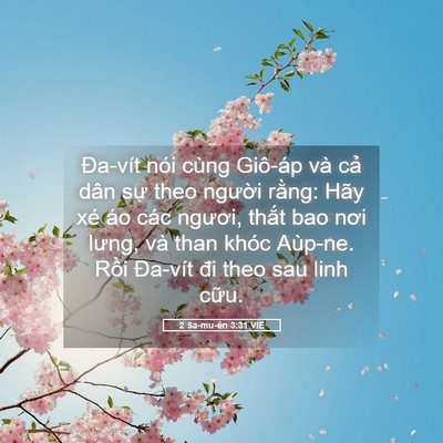 Picture 05 - 2 Sa-mu-ên 3:31 VIE - Đa-vít nói cùng Giô-áp và cả dân sự - Bible Verse Picture