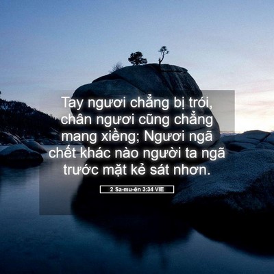 Picture 05 - 2 Sa-mu-ên 3:34 VIE - Tay ngươi chẳng bị trói, chân ngươi - Bible Verse Picture