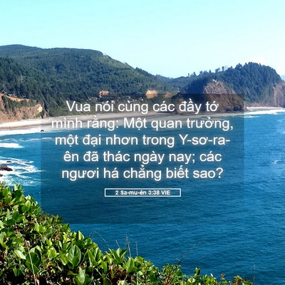 Picture 05 - 2 Sa-mu-ên 3:38 VIE - Vua nói cùng các đầy tớ mình rằng: - Bible Verse Picture
