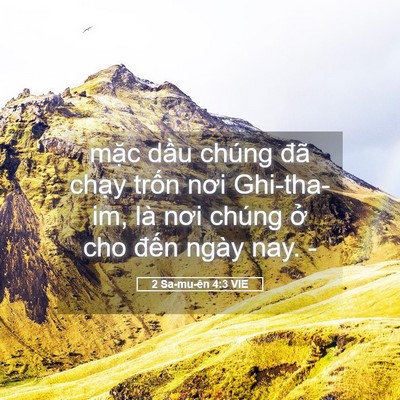 Picture 05 - 2 Sa-mu-ên 4:3 VIE - mặc dầu chúng đã chạy trốn nơi - Bible Verse Picture