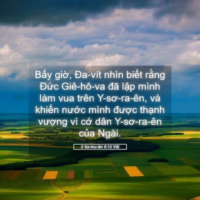 Picture 05 - 2 Sa-mu-ên 5:12 VIE - Bấy giờ, Đa-vít nhìn biết rằng Đức - Bible Verse Picture
