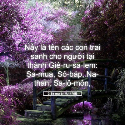 Picture 05 - 2 Sa-mu-ên 5:14 VIE - Nầy là tên các con trai sanh cho người - Bible Verse Picture