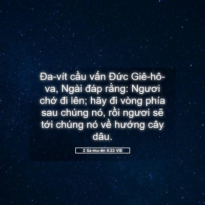 Picture 05 - 2 Sa-mu-ên 5:23 VIE - Đa-vít cầu vấn Đức Giê-hô-va, Ngài - Bible Verse Picture