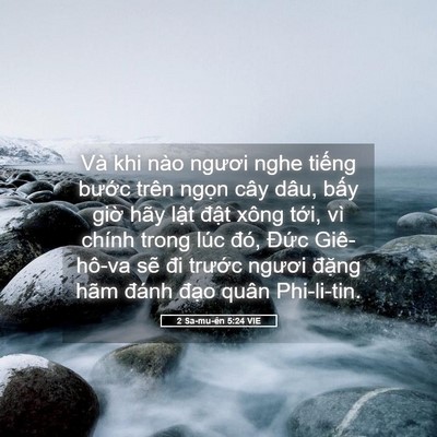 Picture 05 - 2 Sa-mu-ên 5:24 VIE - Và khi nào ngươi nghe tiếng bước trên - Bible Verse Picture