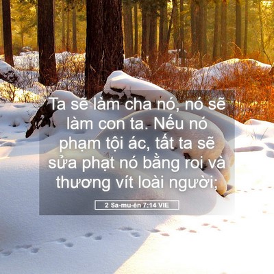 Picture 05 - 2 Sa-mu-ên 7:14 VIE - Ta sẽ làm cha nó, nó sẽ làm con ta. Nếu - Bible Verse Picture