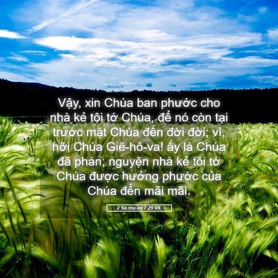 Picture 05 - 2 Sa-mu-ên 7:29 VIE - Vậy, xin Chúa ban phước cho nhà kẻ tôi - Bible Verse Picture