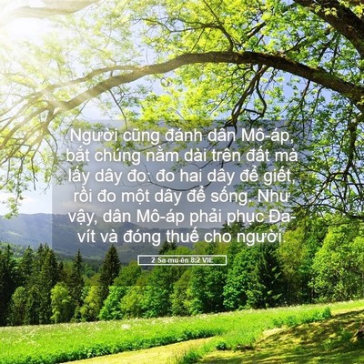 Picture 05 - 2 Sa-mu-ên 8:2 VIE - Người cũng đánh dân Mô-áp, bắt chúng - Bible Verse Picture