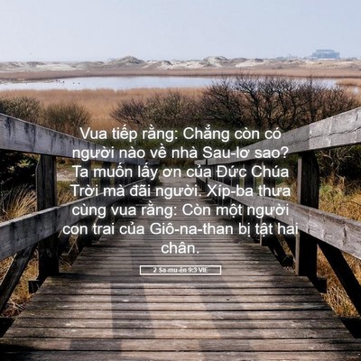 Picture 05 - 2 Sa-mu-ên 9:3 VIE - Vua tiếp rằng: Chẳng còn có người nào - Bible Verse Picture