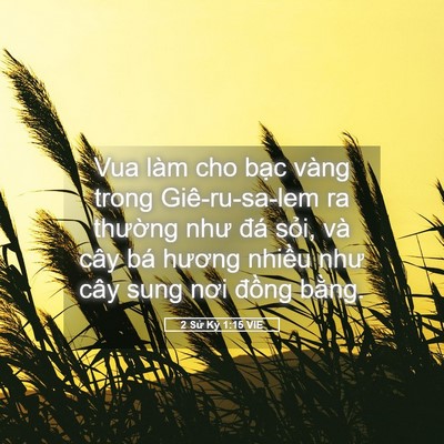 Picture 05 - 2 Sử Ký 1:15 VIE - Vua làm cho bạc vàng trong Giê-ru-sa-lem ra - Bible Verse Picture