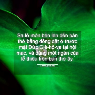 Picture 05 - 2 Sử Ký 1:6 VIE - Sa-lô-môn bền lên đến bàn thờ bằng - Bible Verse Picture