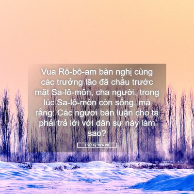 Picture 05 - 2 Sử Ký 10:6 VIE - Vua Rô-bô-am bàn nghị cùng các trưởng - Bible Verse Picture