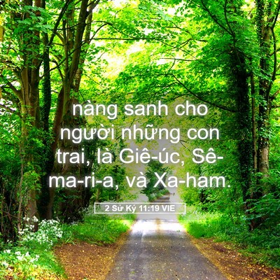 Picture 05 - 2 Sử Ký 11:19 VIE - nàng sanh cho người những con trai, là - Bible Verse Picture