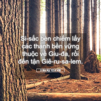 Picture 05 - 2 Sử Ký 12:4 VIE - Si-sắc bèn chiếm lấy các thành bền - Bible Verse Picture
