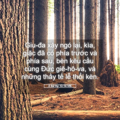 Picture 05 - 2 Sử Ký 13:14 VIE - Giu-đa xây ngó lại, kìa, giặc đã có - Bible Verse Picture
