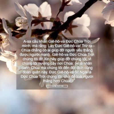 Picture 05 - 2 Sử Ký 14:11 VIE - A-sa cầu khẩn Giê-hô-va Đức Chúa Trời - Bible Verse Picture