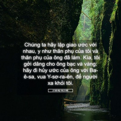 Picture 05 - 2 Sử Ký 16:3 VIE - Chúng ta hãy lập giao ước với nhau, y - Bible Verse Picture