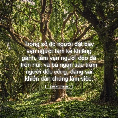Picture 05 - 2 Sử Ký 2:18 VIE - Trong số đó người đặt bảy vạn - Bible Verse Picture