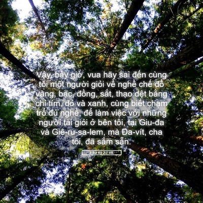 Picture 05 - 2 Sử Ký 2:7 VIE - Vậy, bây giờ, vua hãy sai đến cùng tôi - Bible Verse Picture
