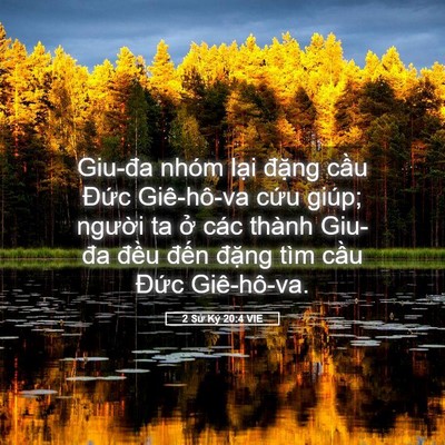 Picture 05 - 2 Sử Ký 20:4 VIE - Giu-đa nhóm lại đặng cầu Đức - Bible Verse Picture