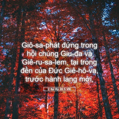 Picture 05 - 2 Sử Ký 20:5 VIE - Giô-sa-phát đứng trong hội chúng Giu-đa - Bible Verse Picture