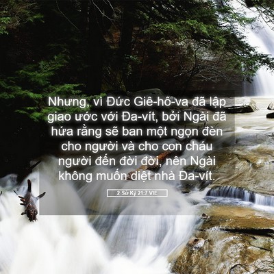 Picture 05 - 2 Sử Ký 21:7 VIE - Nhưng, vì Đức Giê-hô-va đã lập giao - Bible Verse Picture