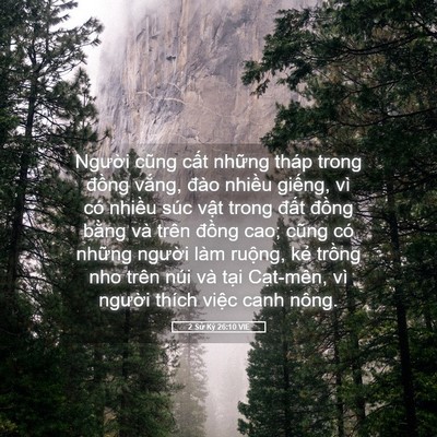 Picture 05 - 2 Sử Ký 26:10 VIE - Người cũng cất những tháp trong đồng - Bible Verse Picture