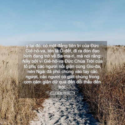 Picture 05 - 2 Sử Ký 28:9 VIE - ỳ tại đó, có một đấng tiên tri của - Bible Verse Picture