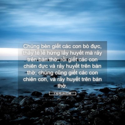 Picture 05 - 2 Sử Ký 29:22 VIE - Chúng bèn giết các con bò đực, thầy - Bible Verse Picture