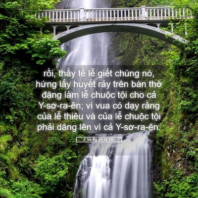 Picture 05 - 2 Sử Ký 29:24 VIE - rồi, thầy tế lễ giết chúng nó, hứng - Bible Verse Picture