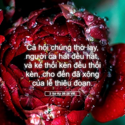 Picture 05 - 2 Sử Ký 29:28 VIE - Cả hội chúng thờ lạy, người ca hát - Bible Verse Picture