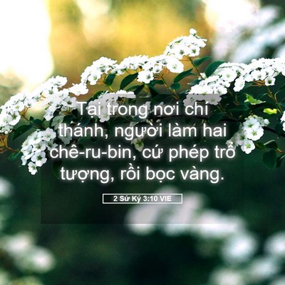 Picture 05 - 2 Sử Ký 3:10 VIE - Tại trong nơi chí thánh, người làm hai - Bible Verse Picture