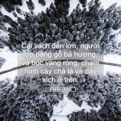 Picture 05 - 2 Sử Ký 3:5 VIE - Cái vách đền lớn, người lợp bằng - Bible Verse Picture