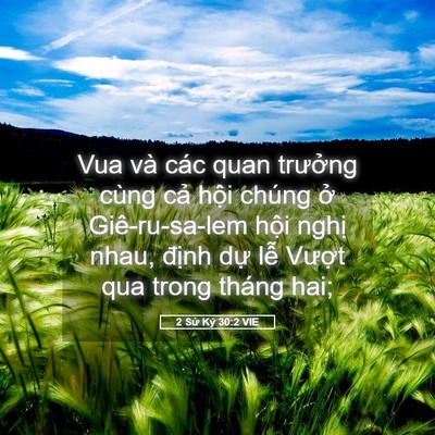 Picture 05 - 2 Sử Ký 30:2 VIE - Vua và các quan trưởng cùng cả hội - Bible Verse Picture