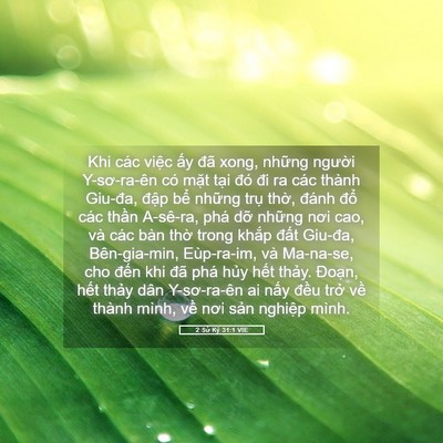 Picture 05 - 2 Sử Ký 31:1 VIE - Khi các việc ấy đã xong, những người - Bible Verse Picture