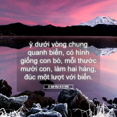 Picture 05 - 2 Sử Ký 4:3 VIE - ỳ dưới vòng chung quanh biển, có hình - Bible Verse Picture