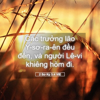 Picture 05 - 2 Sử Ký 5:4 VIE - Các trưởng lão Y-sơ-ra-ên đều đến, - Bible Verse Picture