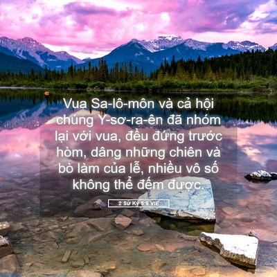Picture 05 - 2 Sử Ký 5:6 VIE - Vua Sa-lô-môn và cả hội chúng - Bible Verse Picture