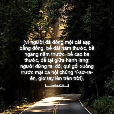 Picture 05 - 2 Sử Ký 6:13 VIE - (vì người đã đóng một cái sạp bằng - Bible Verse Picture