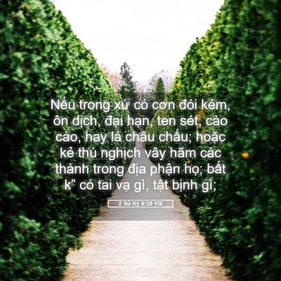 Picture 05 - 2 Sử Ký 6:28 VIE - Nếu trong xứ có cơn đói kém, ôn dịch, - Bible Verse Picture