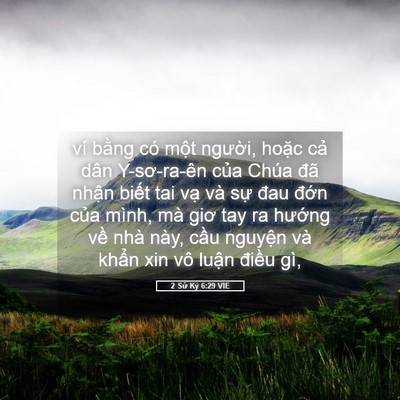 Picture 05 - 2 Sử Ký 6:29 VIE - ví bằng có một người, hoặc cả dân - Bible Verse Picture