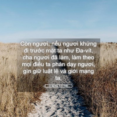 Picture 05 - 2 Sử Ký 7:17 VIE - Còn ngươi, nếu ngươi khứng đi trước - Bible Verse Picture