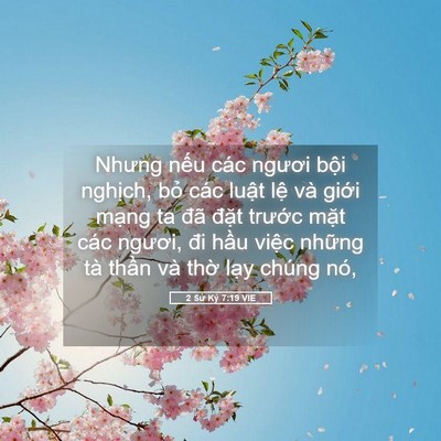 Picture 05 - 2 Sử Ký 7:19 VIE - Nhưng nếu các ngươi bội nghịch, bỏ - Bible Verse Picture