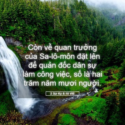 Picture 05 - 2 Sử Ký 8:10 VIE - Còn về quan trưởng của Sa-lô-môn đặt - Bible Verse Picture