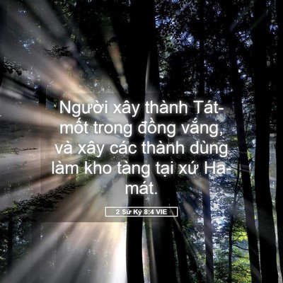 Picture 05 - 2 Sử Ký 8:4 VIE - Người xây thành Tát-mốt trong đồng - Bible Verse Picture