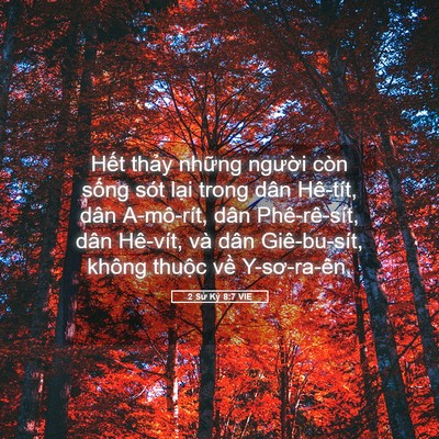 Picture 05 - 2 Sử Ký 8:7 VIE - Hết thảy những người còn sống sót - Bible Verse Picture