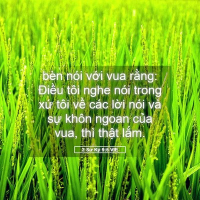 Picture 05 - 2 Sử Ký 9:5 VIE - bèn nói với vua rằng: Điều tôi nghe - Bible Verse Picture