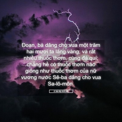 Picture 05 - 2 Sử Ký 9:9 VIE - Đoạn, bà dâng cho vua một trăm hai mươi - Bible Verse Picture