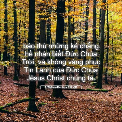 Picture 05 - 2 Thê-sa-lô-ni-ca 1:8 VIE - báo thù những kẻ chẳng hề nhận biết - Bible Verse Picture